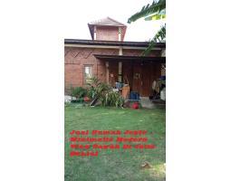 Dijual Rumah Joglo Minimalis Modern View Sawah Di Jetis - Bantul Yogyakarta 