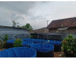 Dijual Kolam Bioflok Sukarame - Bandar Lampung