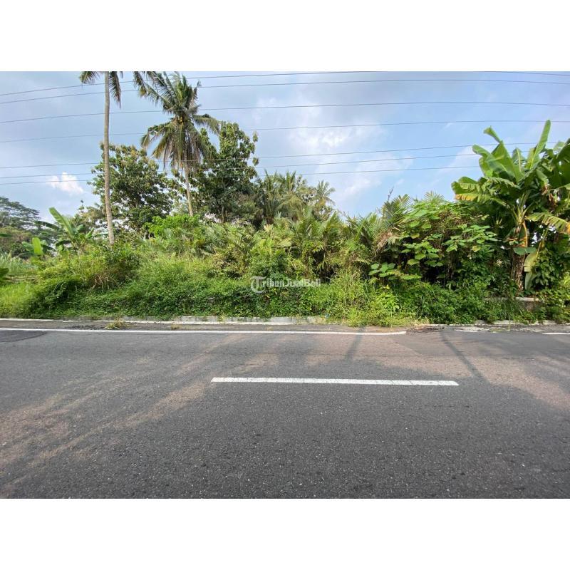 Jual Tanah Luas 2971m2 SHM Pinggir Jalan Aspal Turgo Pakem Luas Banget - Sleman Yogyakarta