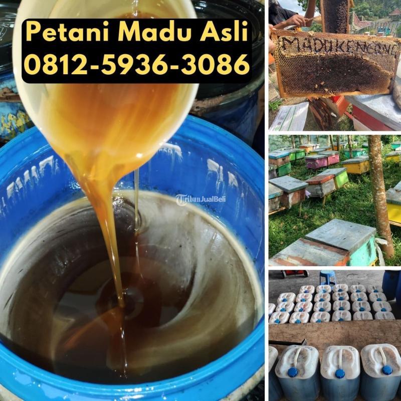 Supplier Madu Asli Terdekat - Samarinda Kalimantan Timur