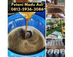  Supplier Madu Asli Terdekat - Samarinda Kalimantan Timur 
