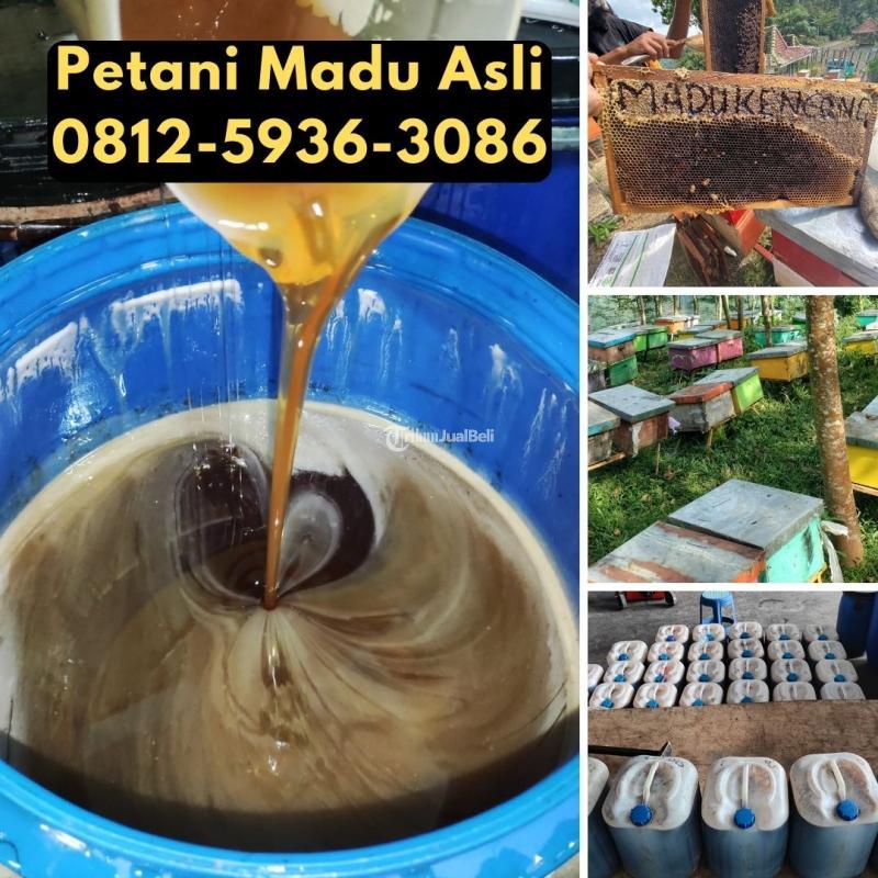 Supplier Madu Asli Terdekat - Samarinda Kalimantan Timur