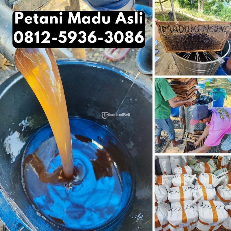 Supplier Madu Asli Terdekat - Samarinda Kalimantan Timur