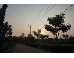 Jual Rumah Murah Baru Tipe 38 Fasilitas Umum Lengkap - Pesawaran Lampung 