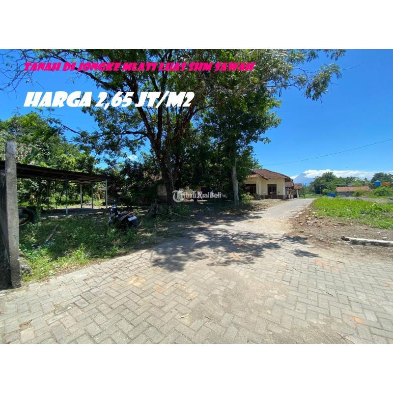 Dijual Tanah Di Jongke Mlati Luas SHM Sawah LT986 m2 - Sleman Yogyakarta 