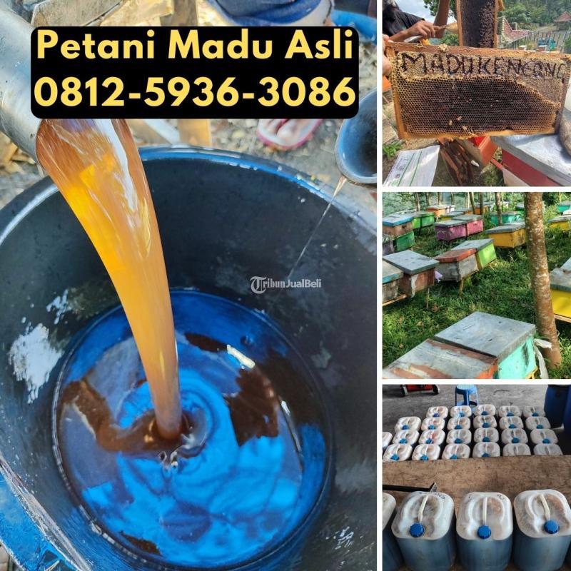 Grosir Madu Terdekat Asli dari Petani Bisa COD - Pasuruan Jawa Timur