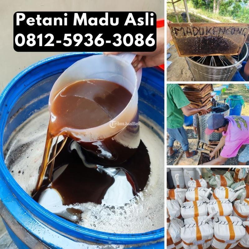 Grosir Madu Terdekat Asli dari Petani Bisa COD - Pasuruan Jawa Timur