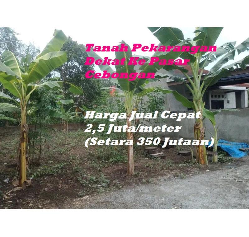 Jual Tanah Pekarangan Luas 138 m2 Dekat Ke Pasar Cebongan - Sleman Jogja