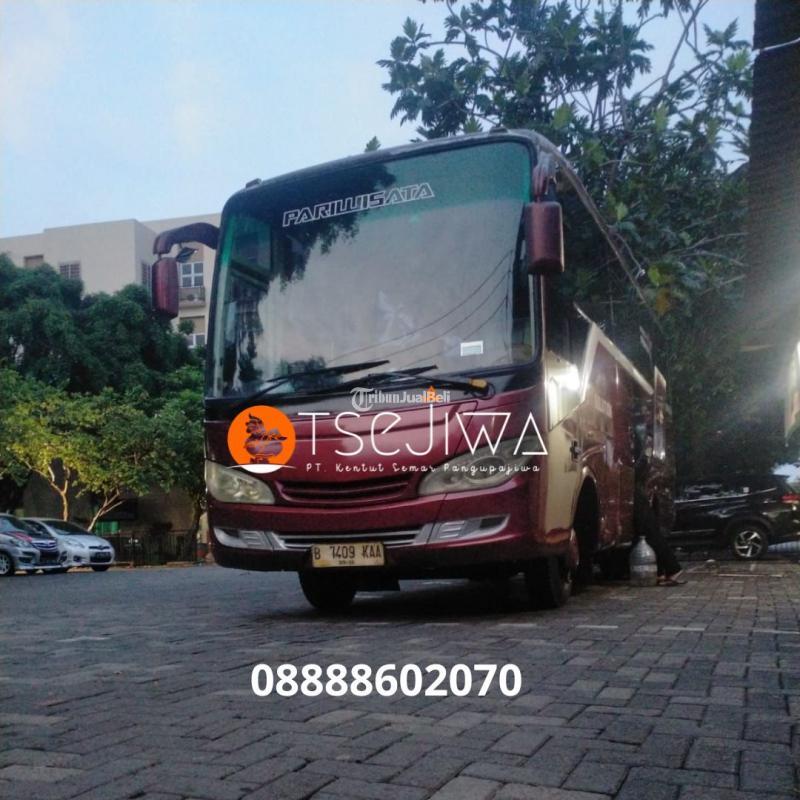 Merah Membara: Mengungkap Pesona dan Keajaiban Bus Pariwisata Merah
