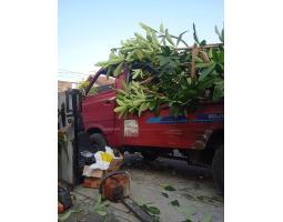 Jasa Buang Barang Apa Saja Lebih Praktis - Yogyakarta