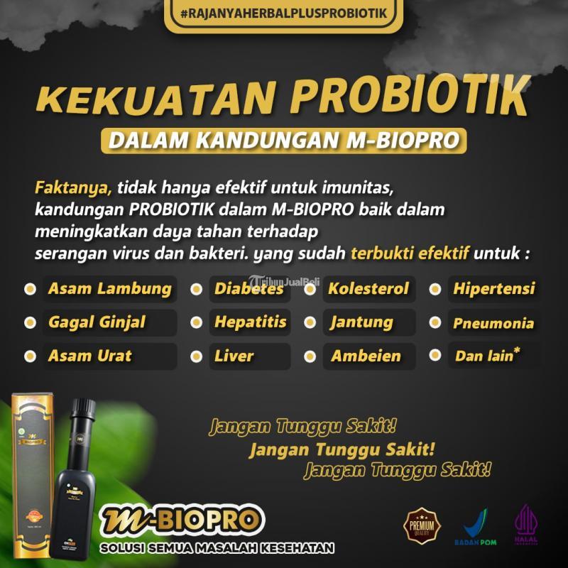 M Biopro Herbal Alami Plus Probiotik Solusi Masalah Kesehatan Reaksi Cepat Di Jombang Jawa