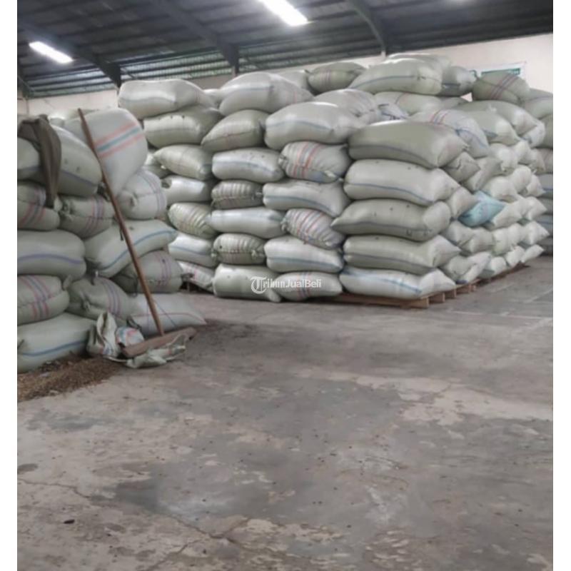 Green Coffee Beans For Sale - Makassar Sulawesi Selatan