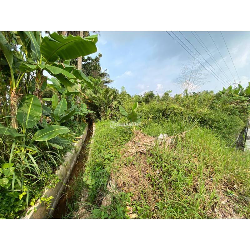 Dijual Tanah Kavling Luas Banget 2971m SHM Di Pulowatu Pakem - Sleman Yogyakarta