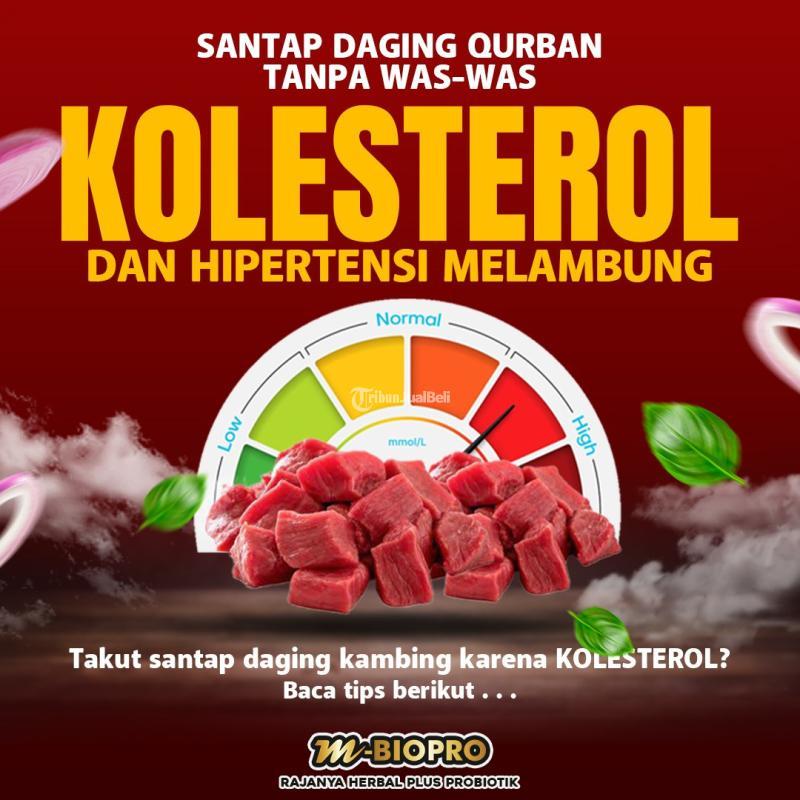 M Biopro Herbal Alami Obat Kolesterol Tinggi Ampuh Di Apotik Reaksi Cepat - Jakarta Pusat
