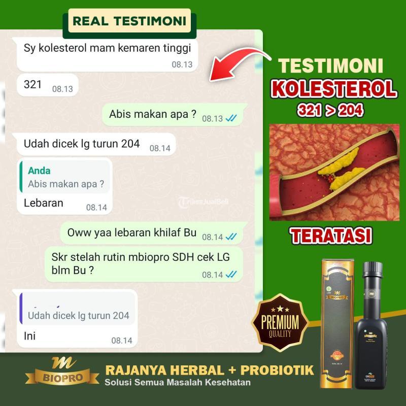 M Biopro Herbal Alami Obat Kolesterol Tinggi Ampuh Di Apotik Reaksi Cepat - Jakarta Pusat