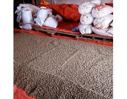 Wholesale Green Coffee Beans - Makassar Sulawsi Sulawesi Selatan 