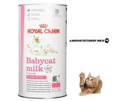 Royal canin Babycat Milk Sachet 100 gr Amigos Petshop - Makassar Sulawesi Selatan
