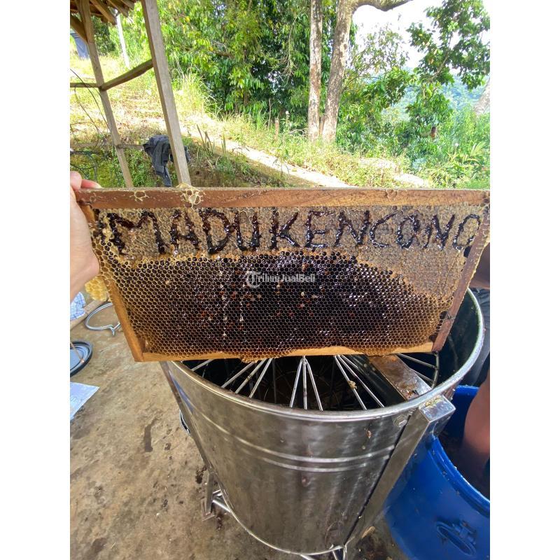 Grosir Madu Asli Terdekat Langsung Petani - Tasikmalaya Jawa Barat