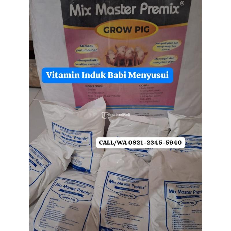Vitamin Untuk Babi Cepat Besar - Kediri Jawa Timur