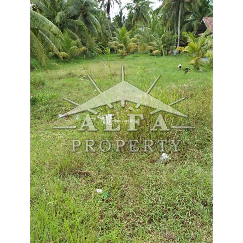 Jual Tanah 6 Hektar SHM Pelabuhan Kijing Mempawah Pontianak - Mempawah Kalimantan Barat