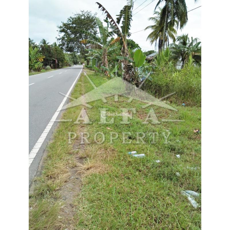 Jual Tanah 6 Hektar SHM Pelabuhan Kijing Mempawah Pontianak - Mempawah Kalimantan Barat