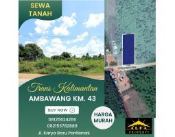 Jual Tanah Harga Murah Luas 4000 m2 Trans Kalimantan Kubu Pontianak - Kubu Raya Kalimantan Barat