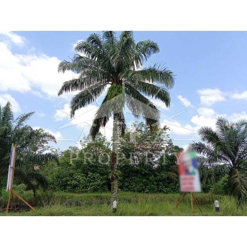 Jual Tanah Luas 14503m SHM Tepi Jalan Perintis Kemerdekaan Pontianak Timur - Pontianak Kalimantan Barat