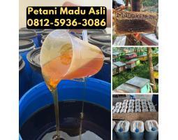 Supplier Madu Asli Langsung Petani Bisa COD - Medan Sumatera Utara