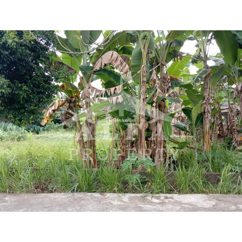 Jual Tanah Kavling Luas 612m SHM Jalan Dinasti Purnama Pontianak Selatan - Pontianak Kalimantan Barat