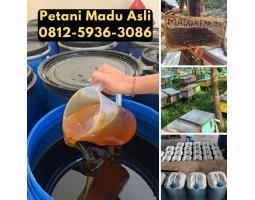 Grosir Madu Asli Terdekat Asli Petani - Yogyakarta