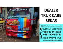 Truk Bekas Isuzu ELF 2017 Solar Manual Bekas - Malang Jawa Timur