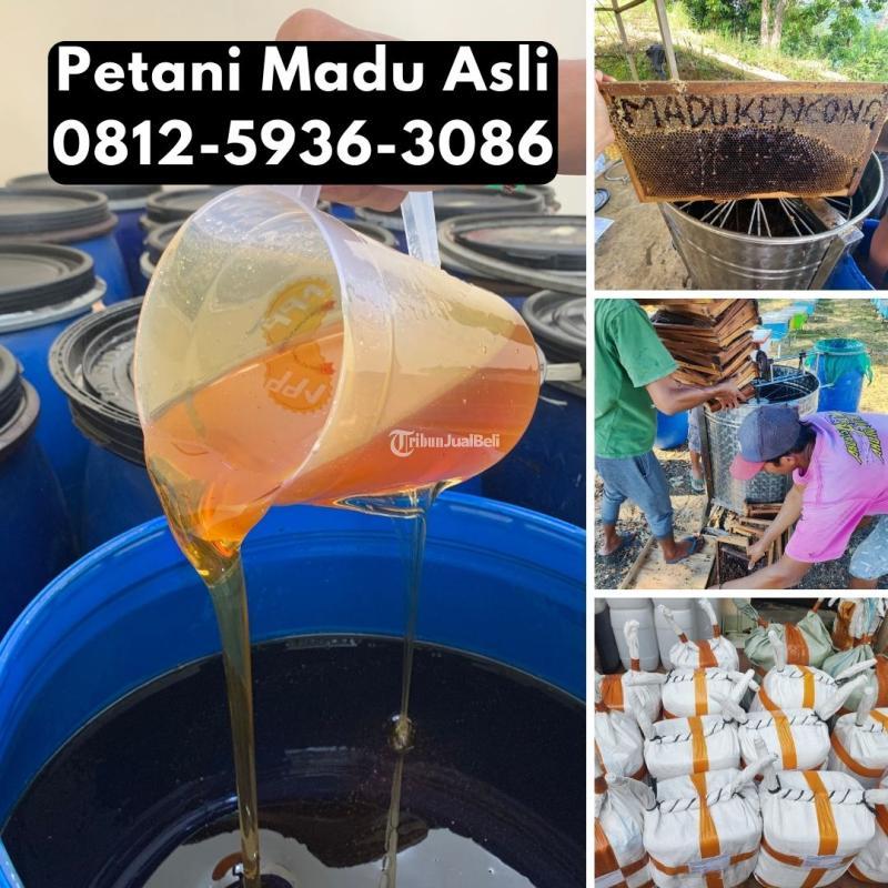 COD, Supplier Madu Asli Terdekat Langsung Petani - Purwakarta Jawa Barat