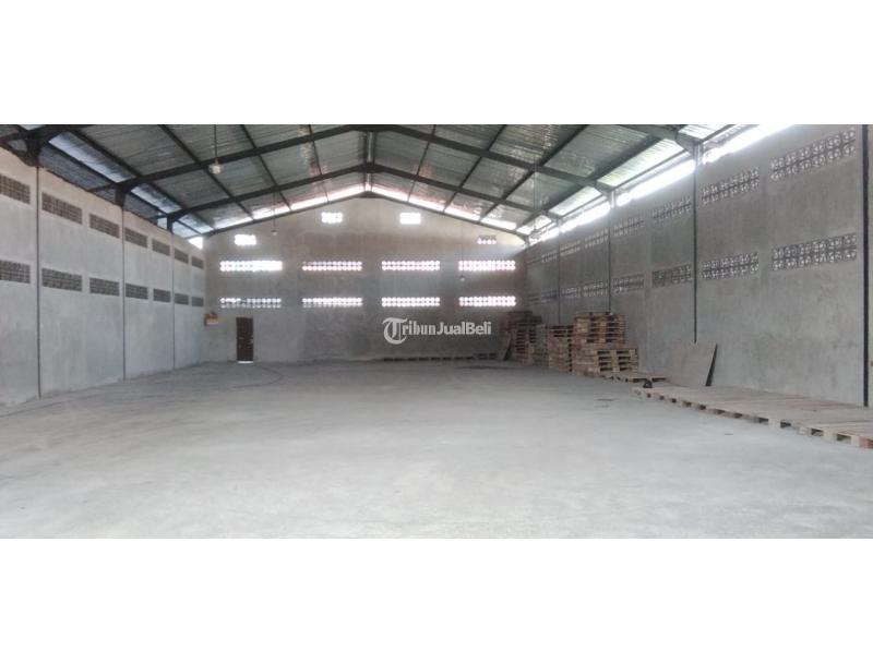 Disewakan Gudang Luas 800 m2 area Jl Cargo - Denpasar Bali