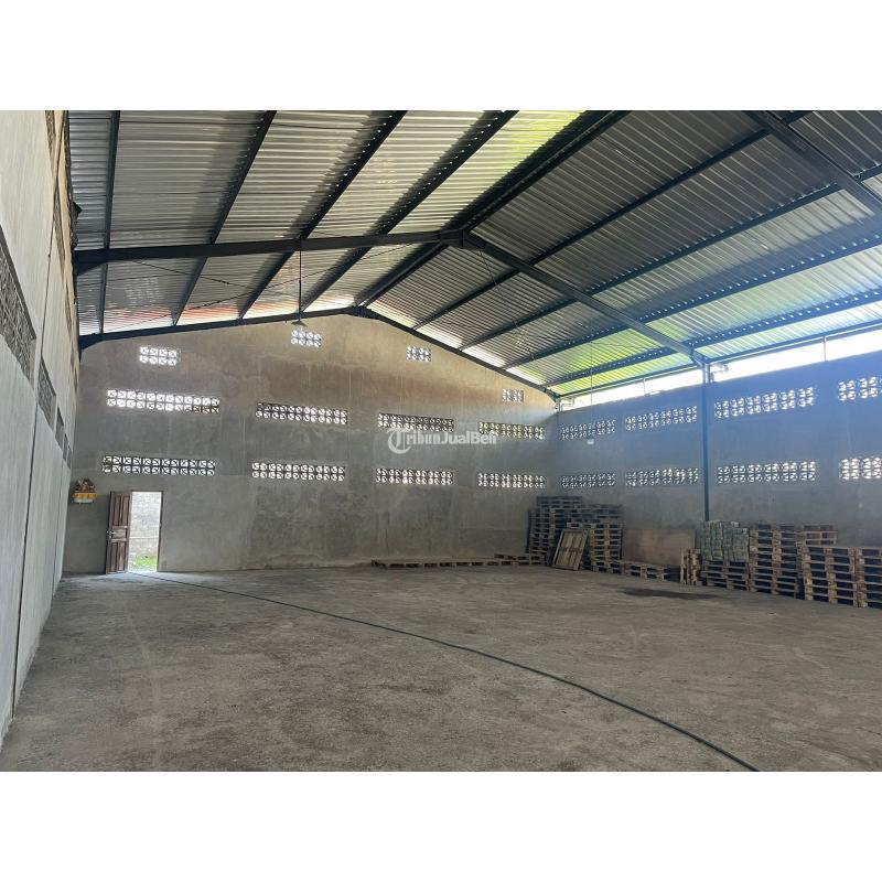 Disewakan Gudang Luas 800 m2 area Jl Cargo - Denpasar Bali