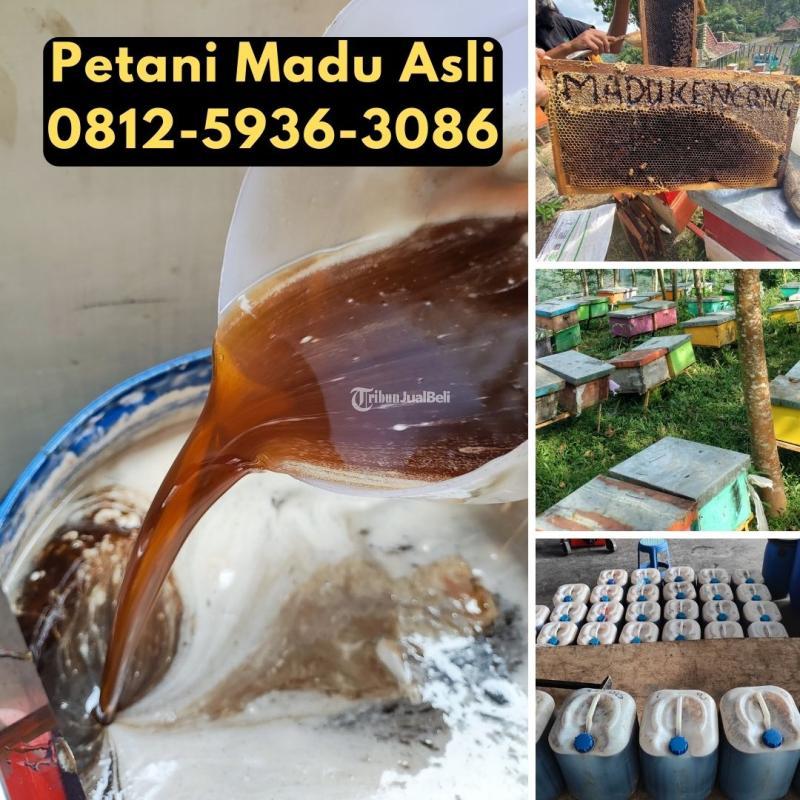 Madu Asli Harga Murah - Bogor Jawa Barat 