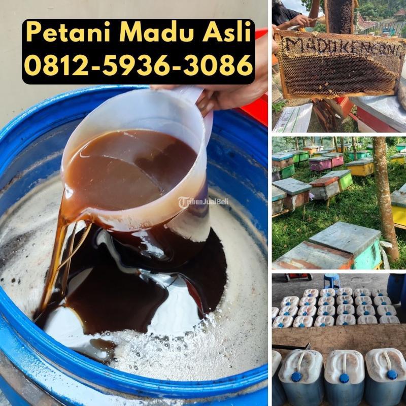  Supplier Madu Asli Terdekat Harga Terjangkau - Sukabumi Jawa Barat 