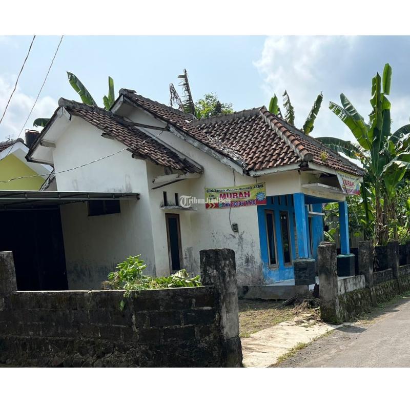 Dijual Tanah Murah Bonus Rumah Masih Layak Huni - Sleman Yogyakarta