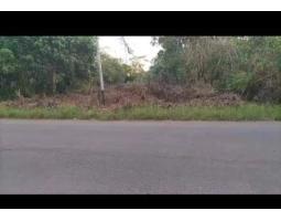 Dijual Tanah LT17000 m2 Legalitas SHM Siap Bangun - Kubu Raya Kalimantan Barat 