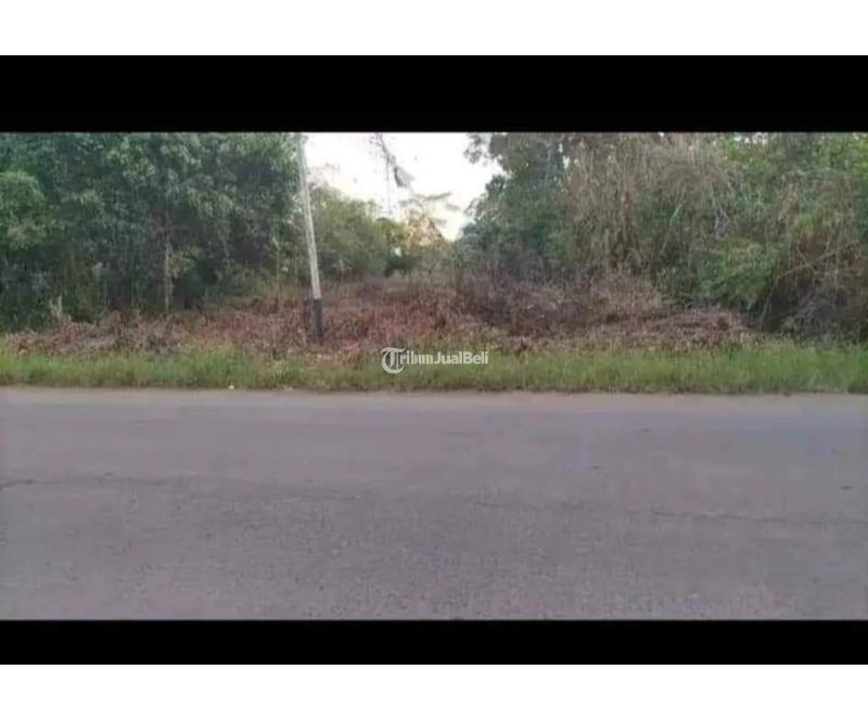 Dijual Tanah LT17000 m2 Legalitas SHM Siap Bangun - Kubu Raya Kalimantan Barat
