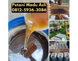 Supplier Madu Asli Terdekat - Yogyakarta 