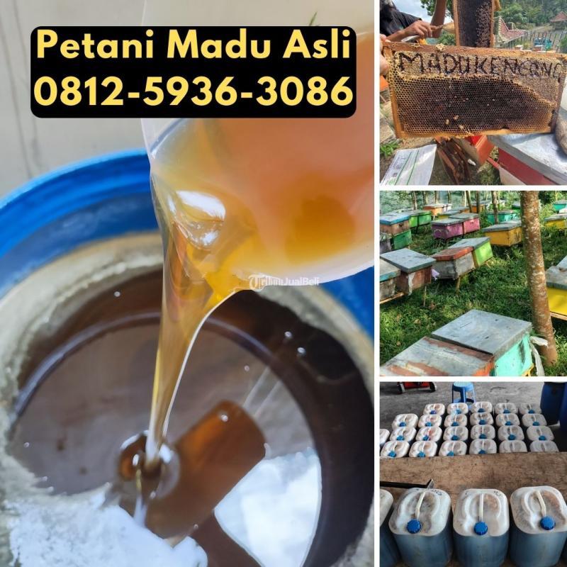 Supplier Madu Asli Terdekat - Yogyakarta 