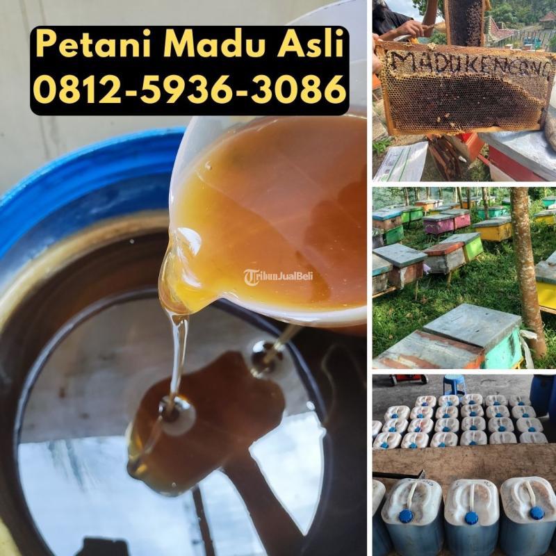 Supplier Madu Terdekat  Asli dari Petani Bisa COD - Surabaya Jawa Timur
