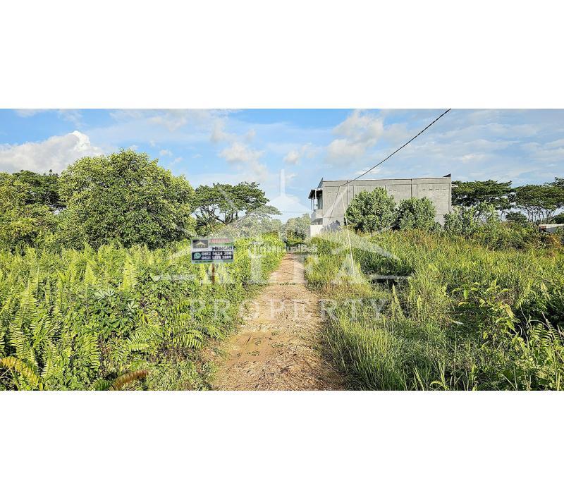 Dijual Tanah Jalan Purnama 2 LT500 m2 SHM - Pontianak Kalimantan Barat