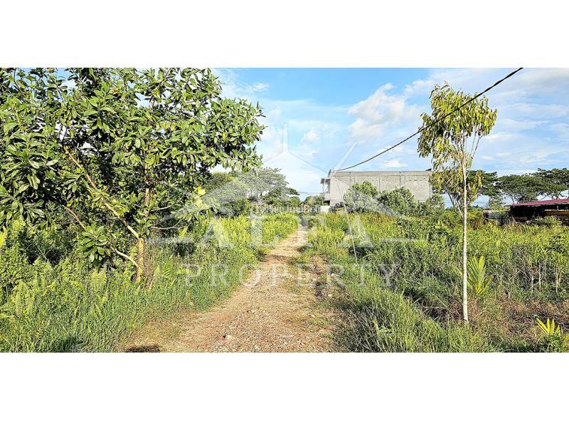 Dijual Tanah Jalan Purnama 2 LT500 m2 SHM - Pontianak Kalimantan Barat