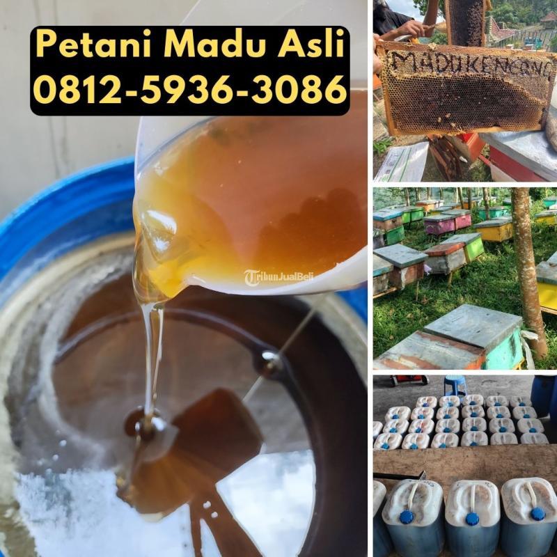 Supplier Madu Asli Terdekat - Depok Jawa Barat 