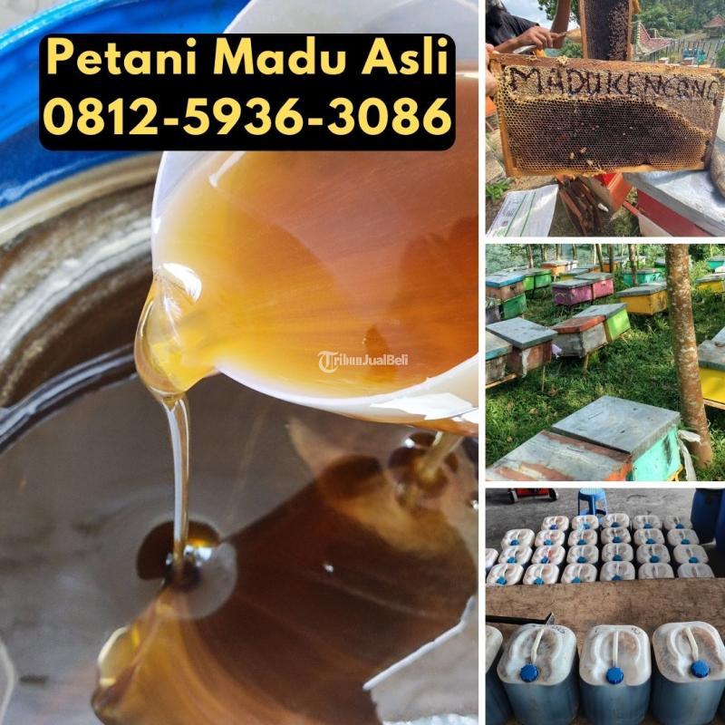 Grosir Madu Terdekat Asli Petani Bisa COD - Depok Jawa Barat