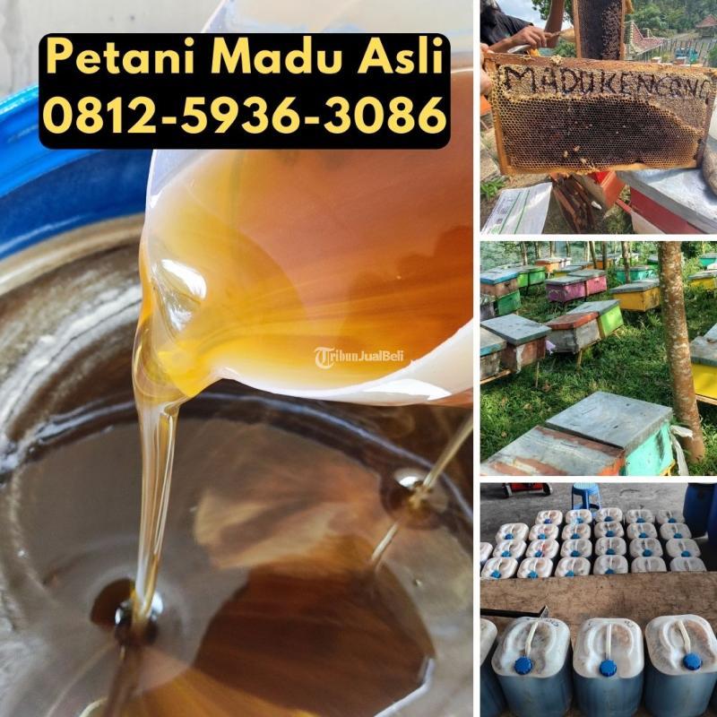  Madu Asli Terdekat Pakuan Asli Bisa COD - Bangkalan Jawa Timur