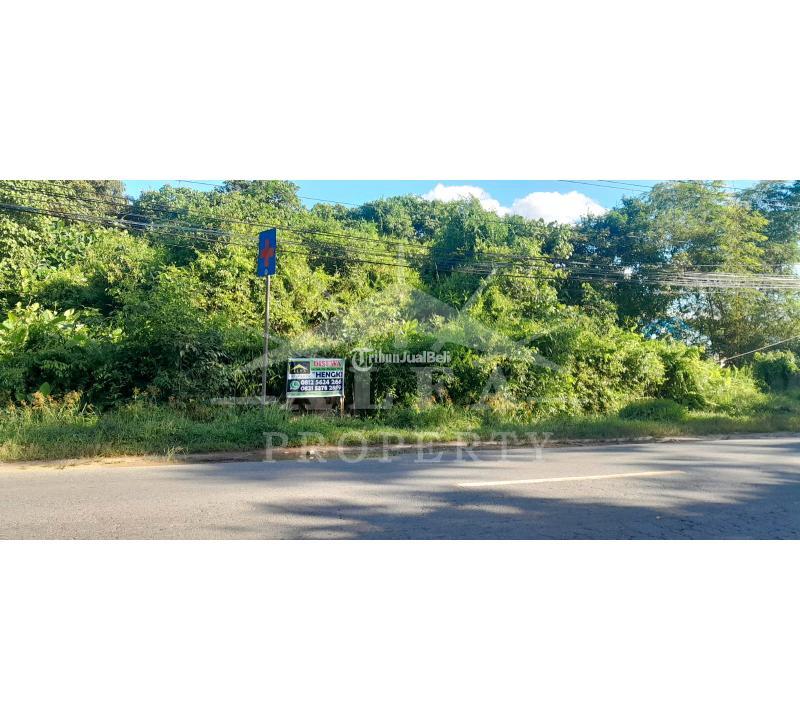 Disewakan Tanah Luas 7996m2 SHM Trans Kalimantan Ambawang Pontianak - Kubu Raya Kalimantan Barat