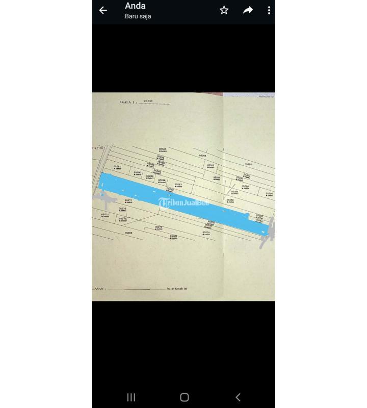 Jual Tanah Kavling Luas 5.000 m2 Lingkungan Asri Lokasi Godean - Sleman Jogja