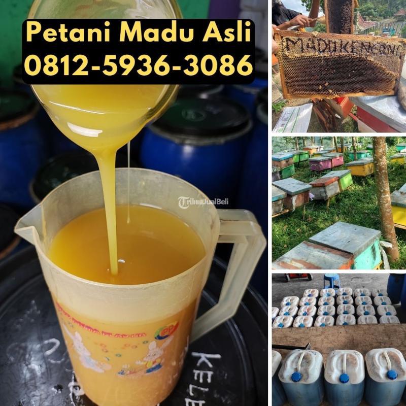 Supplier Madu Asli Bali Langsung Petani - Badung Bali